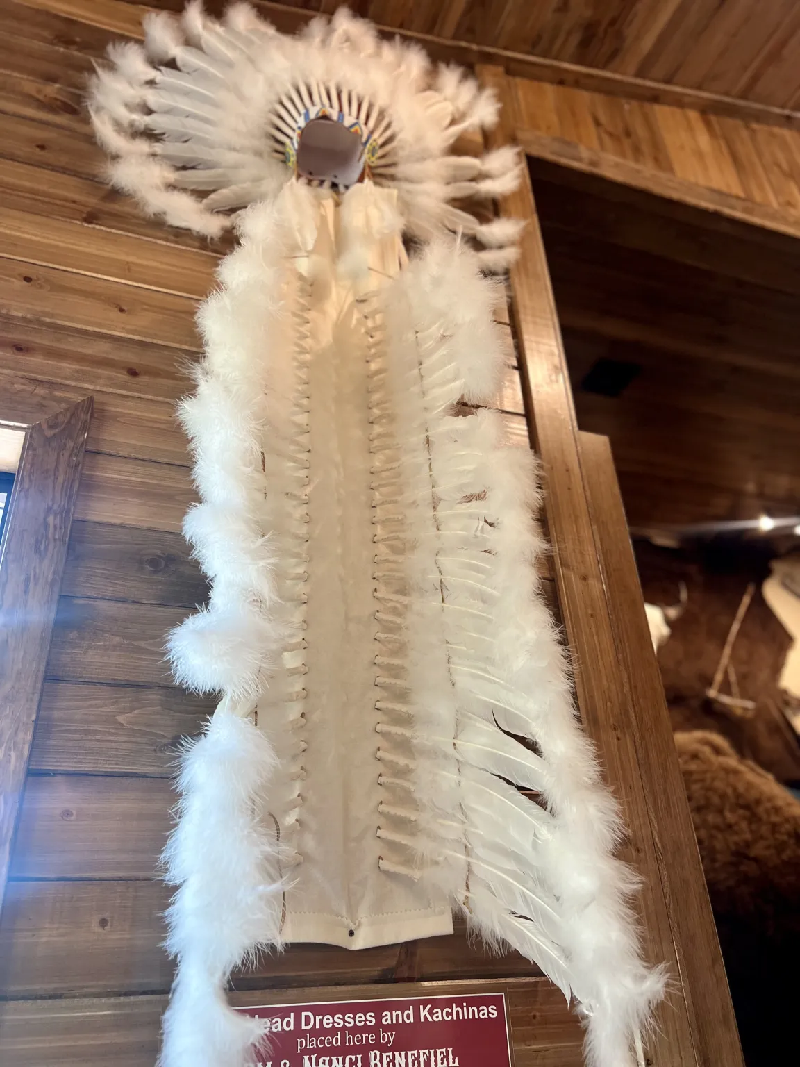 Feathered headdress displayed on wooden wall.